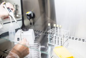 Hands in transparent gloves adding nutrient solution from a syringe into a test tube on a bio-lab workstation, with a glass plate holding test tube racks and empty petri dishes and a centrifuge in the background