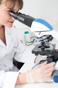 Lab technician examining a petri dish through a microscope, adjusting the focus with her right hand
